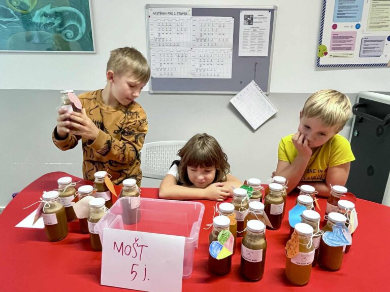 574581182_1410745087722066_6333810735384349549_n