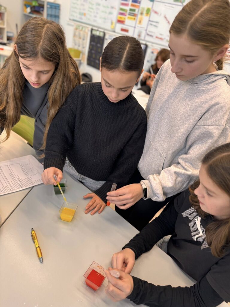 604800319_1459276209535620_3635924469500936751_n