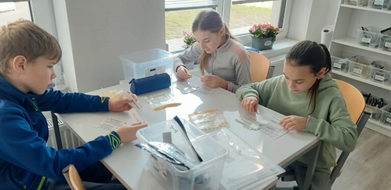 645294321_1514761093987131_8153387267617226448_n